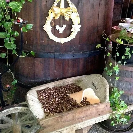 Bed & Breakfast Officina Dei Sogni *